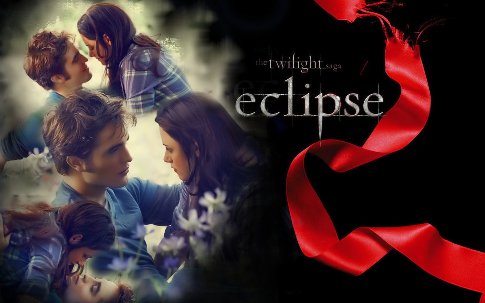 Wallpapers Id - - Twilight New Moon Book Cover , HD Wallpaper & Backgrounds