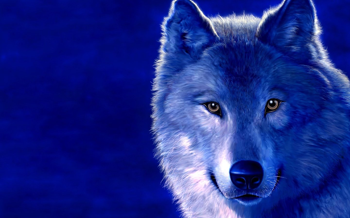 Ice Wolf, Photo, Wolves, Wallpapers For Desktop, Wolf - Blue Animals , HD Wallpaper & Backgrounds