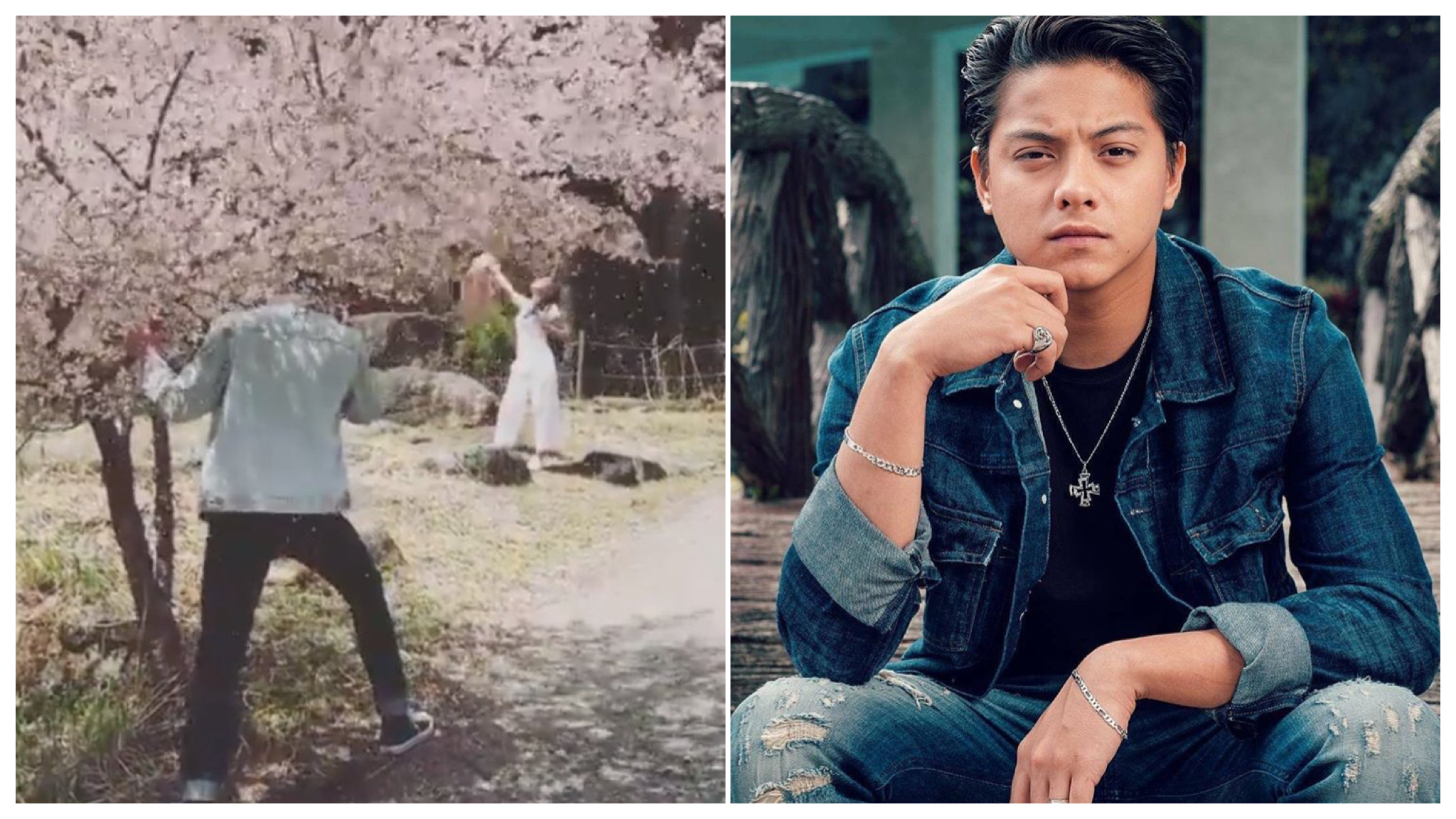 Alleged Video Of Daniel Padilla Shaking Cherry Blossom - Daniel Padilla Cherry Blossoms , HD Wallpaper & Backgrounds