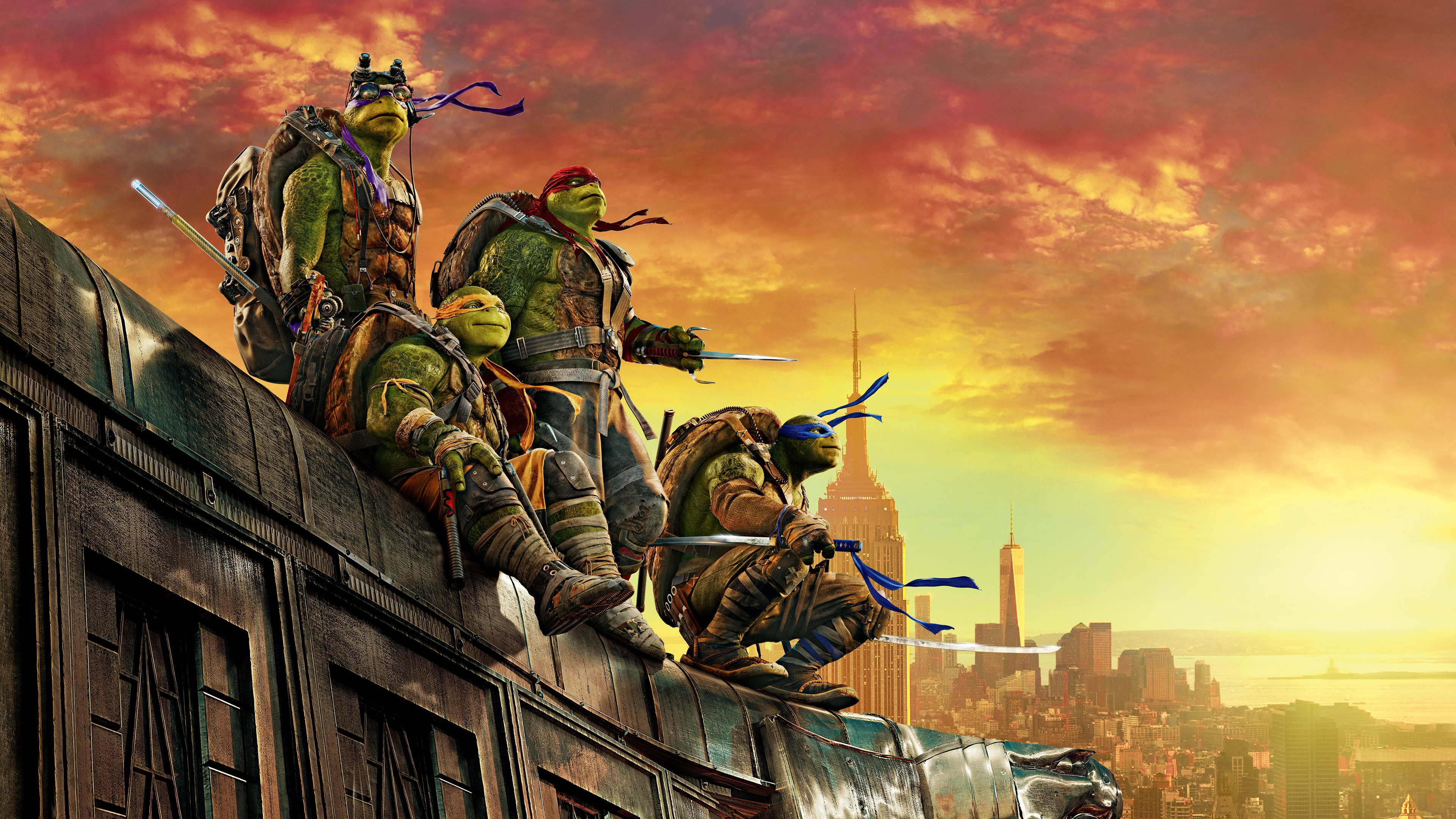 Download This Wallpaper - Ninja Turtles Background , HD Wallpaper & Backgrounds