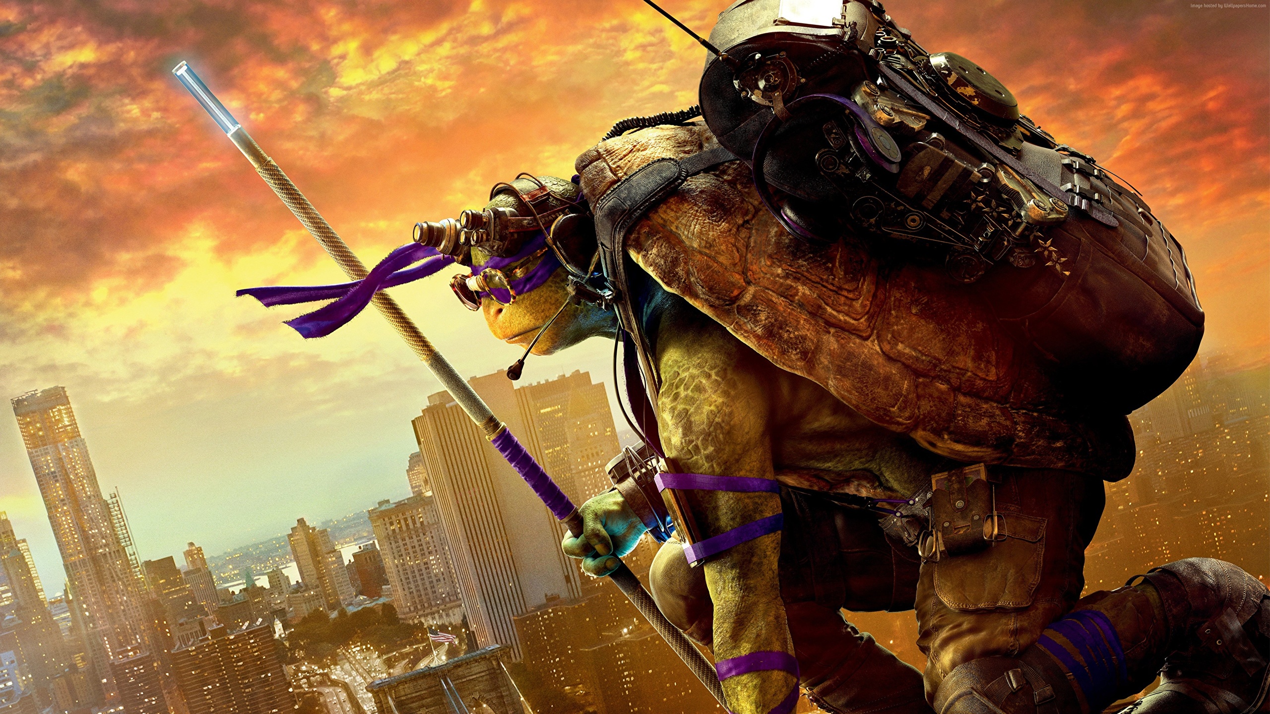 Teenage Mutant Ninja Turtles 2016 Donatello , HD Wallpaper & Backgrounds