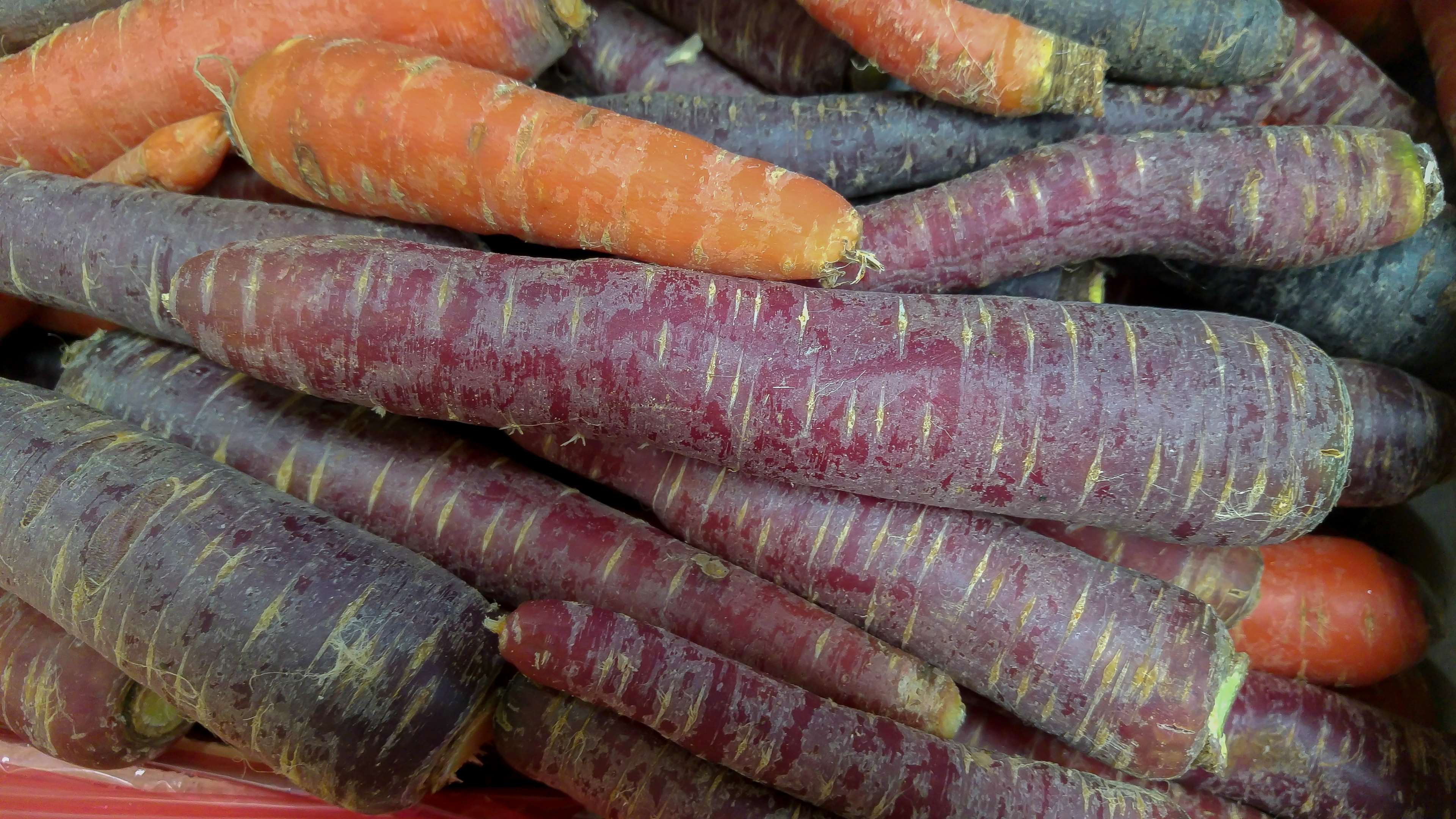Carrots, Purple Carrot, Vegetable Garden, Vegetables - Fioletowa Marchewka , HD Wallpaper & Backgrounds