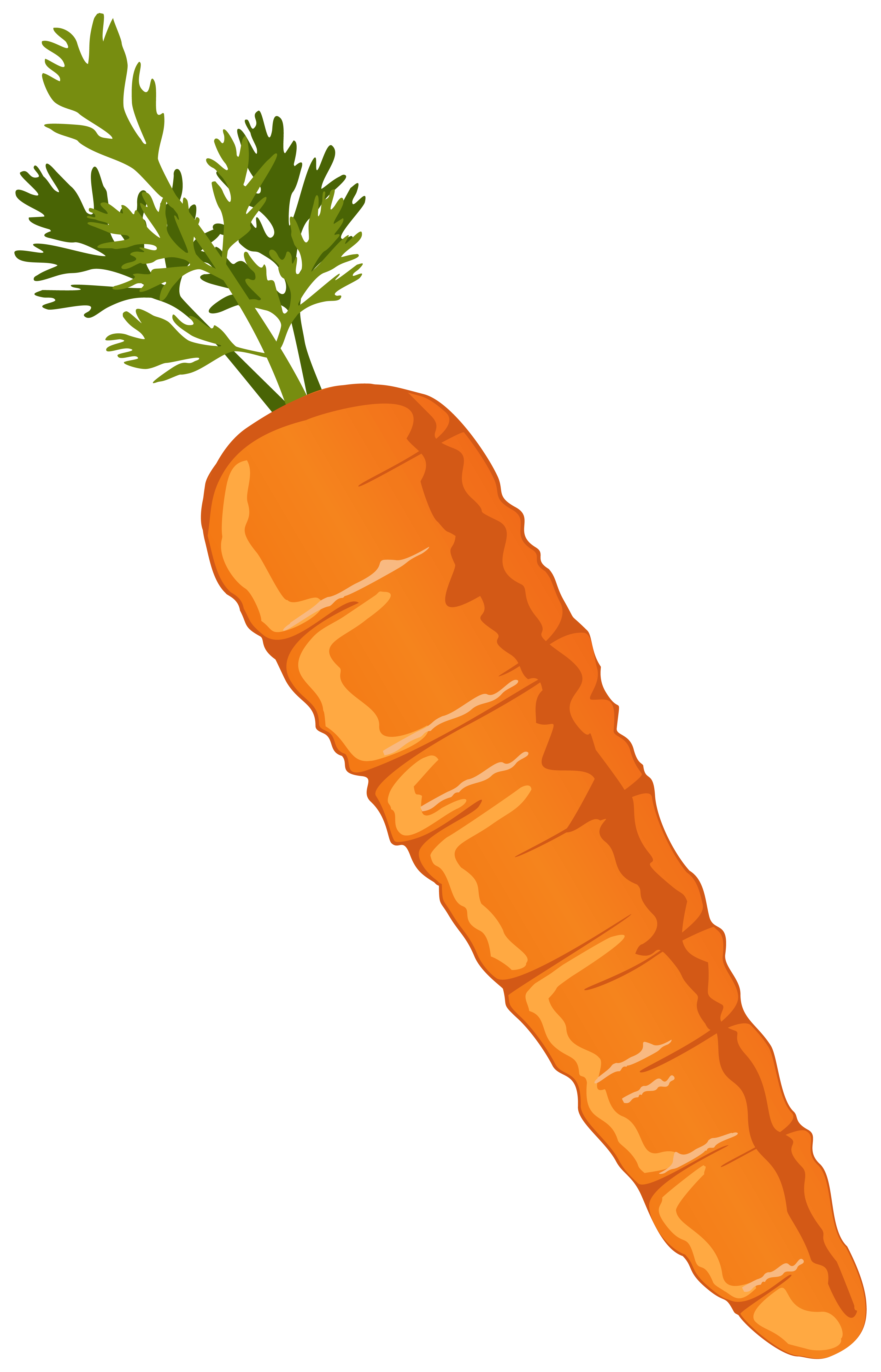 Carrot Clipart Wallpaper - Transparent Background Carrot Clipart , HD Wallpaper & Backgrounds