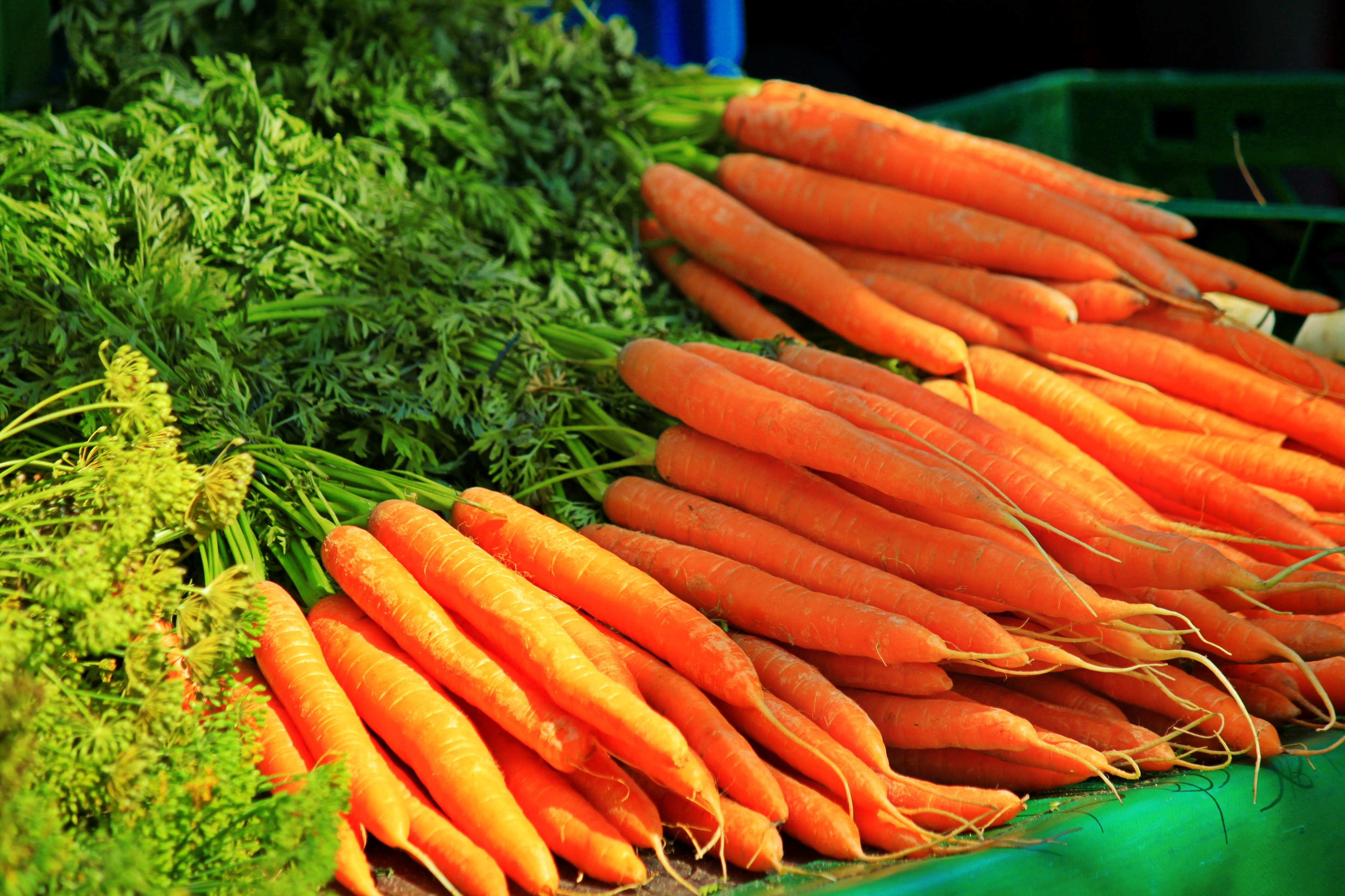 Carrots, Healthy, Vegetables, Carrot, Vegetable - Carrot Vegetables , HD Wallpaper & Backgrounds