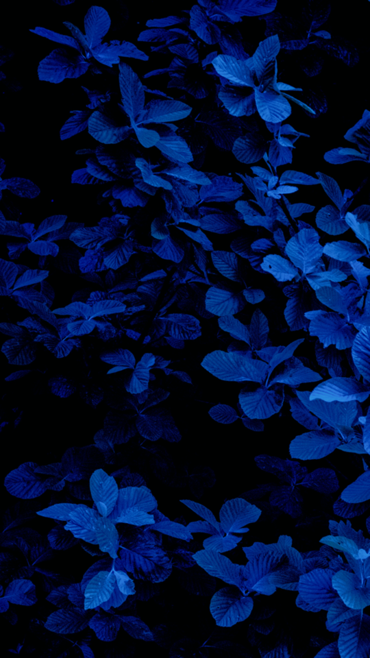 Deep Blue Wallpapers - Art , HD Wallpaper & Backgrounds