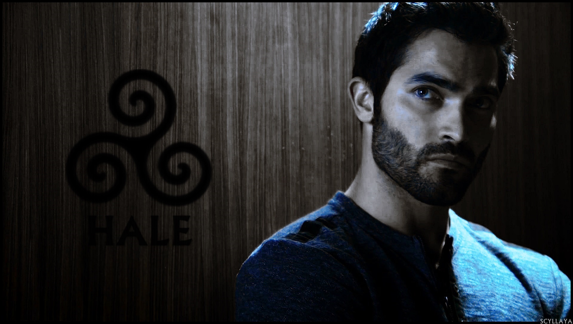 Tyler Hoechlin , HD Wallpaper & Backgrounds