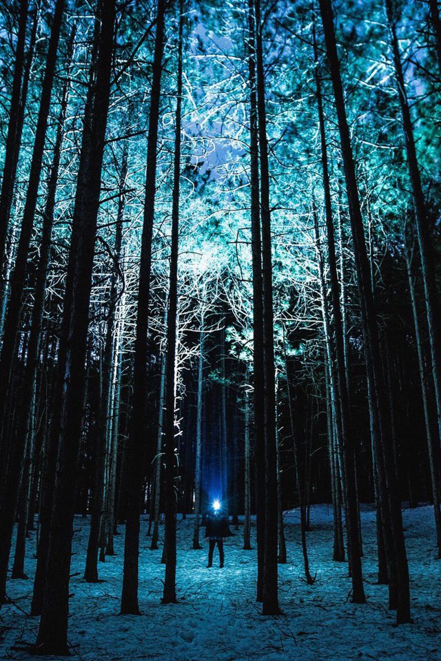 Wood Mountain Nature Blue Night Android Wallpaper - Night Forest Wallpaper Iphone , HD Wallpaper & Backgrounds