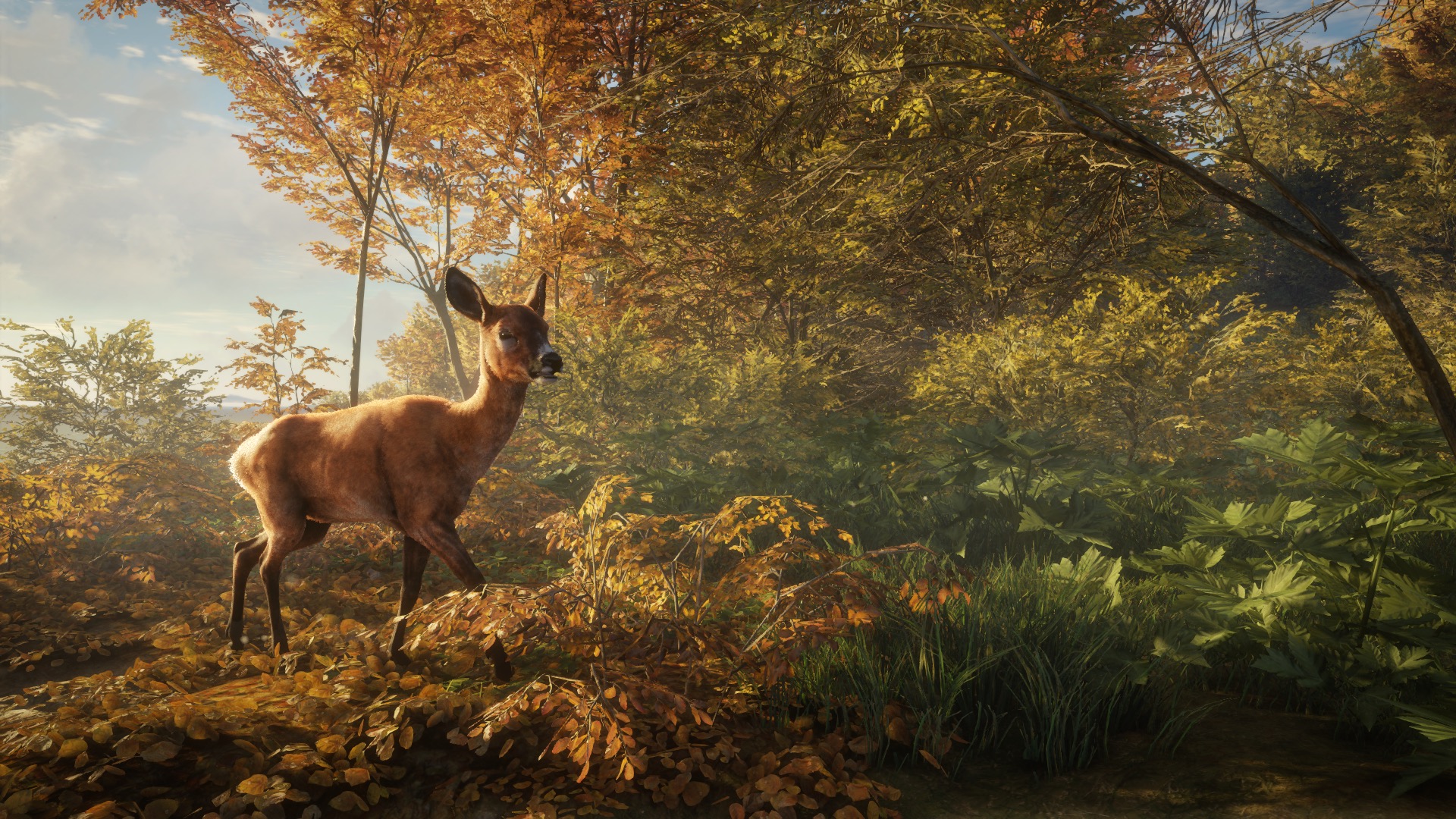 Astragon Entertainment Thehunter Call Of The Wild Jagdspiel - Hunter Call Of The Wild Animals , HD Wallpaper & Backgrounds