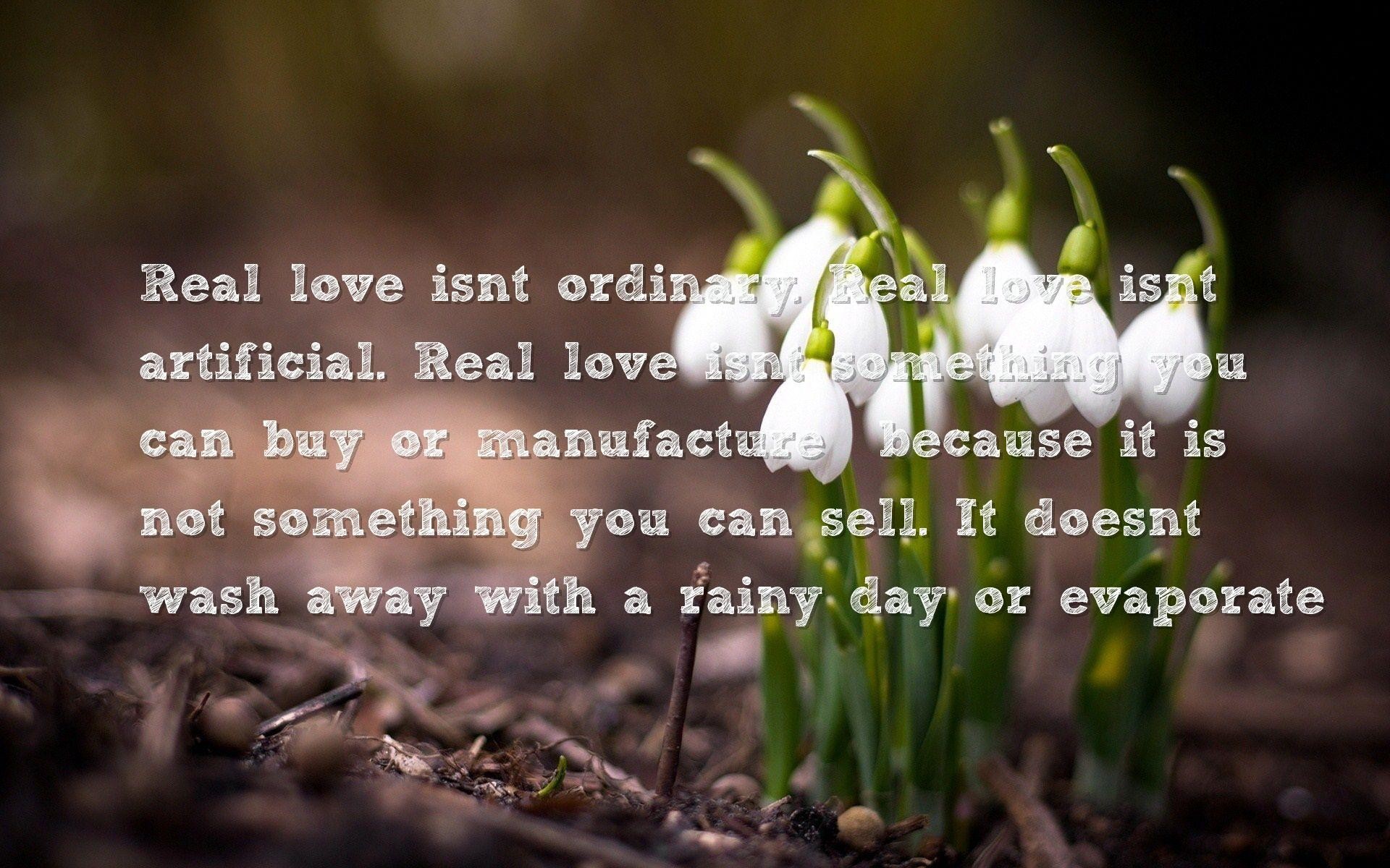 True Love Quotes - Spring Flowers Hd , HD Wallpaper & Backgrounds