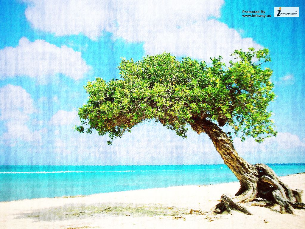 Aruba Beach Wallpaper - Aruba Hd , HD Wallpaper & Backgrounds