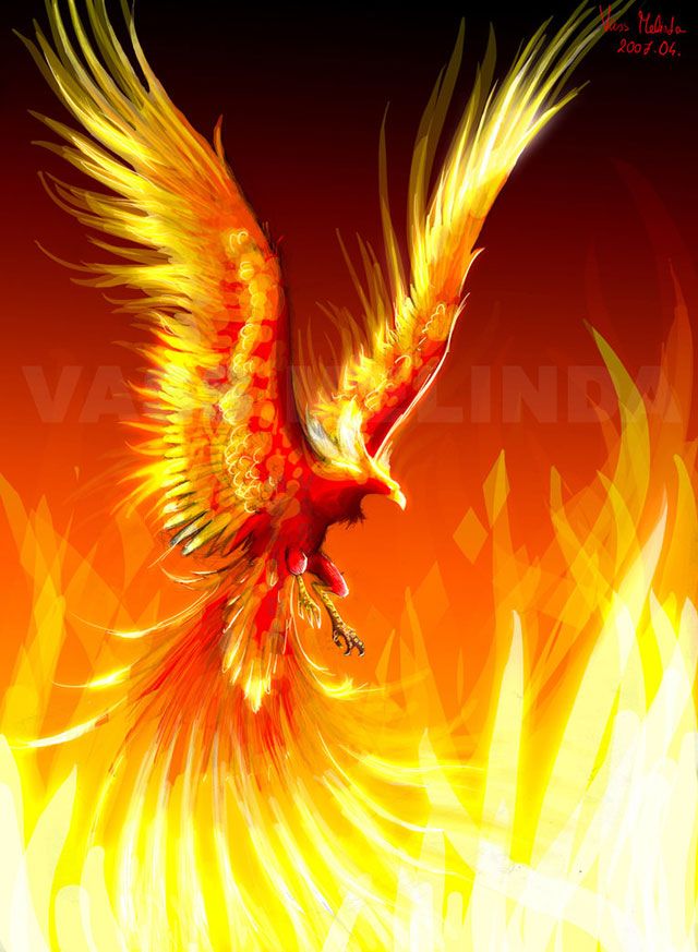 Greek Mythology Creatures - Phoenix Bird , HD Wallpaper & Backgrounds