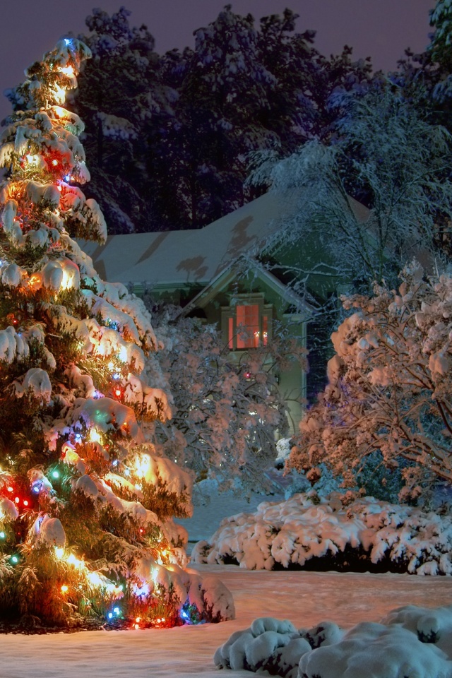 Iphone Wallpaper Christmas Tree , HD Wallpaper & Backgrounds