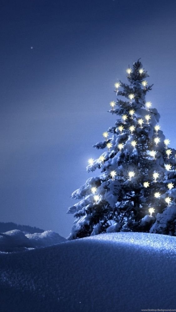 Drawn Christmas Tree Background , HD Wallpaper & Backgrounds