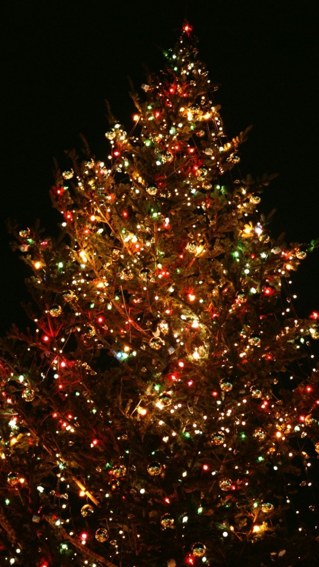Natural Christmas Tree - Hd Christmas , HD Wallpaper & Backgrounds