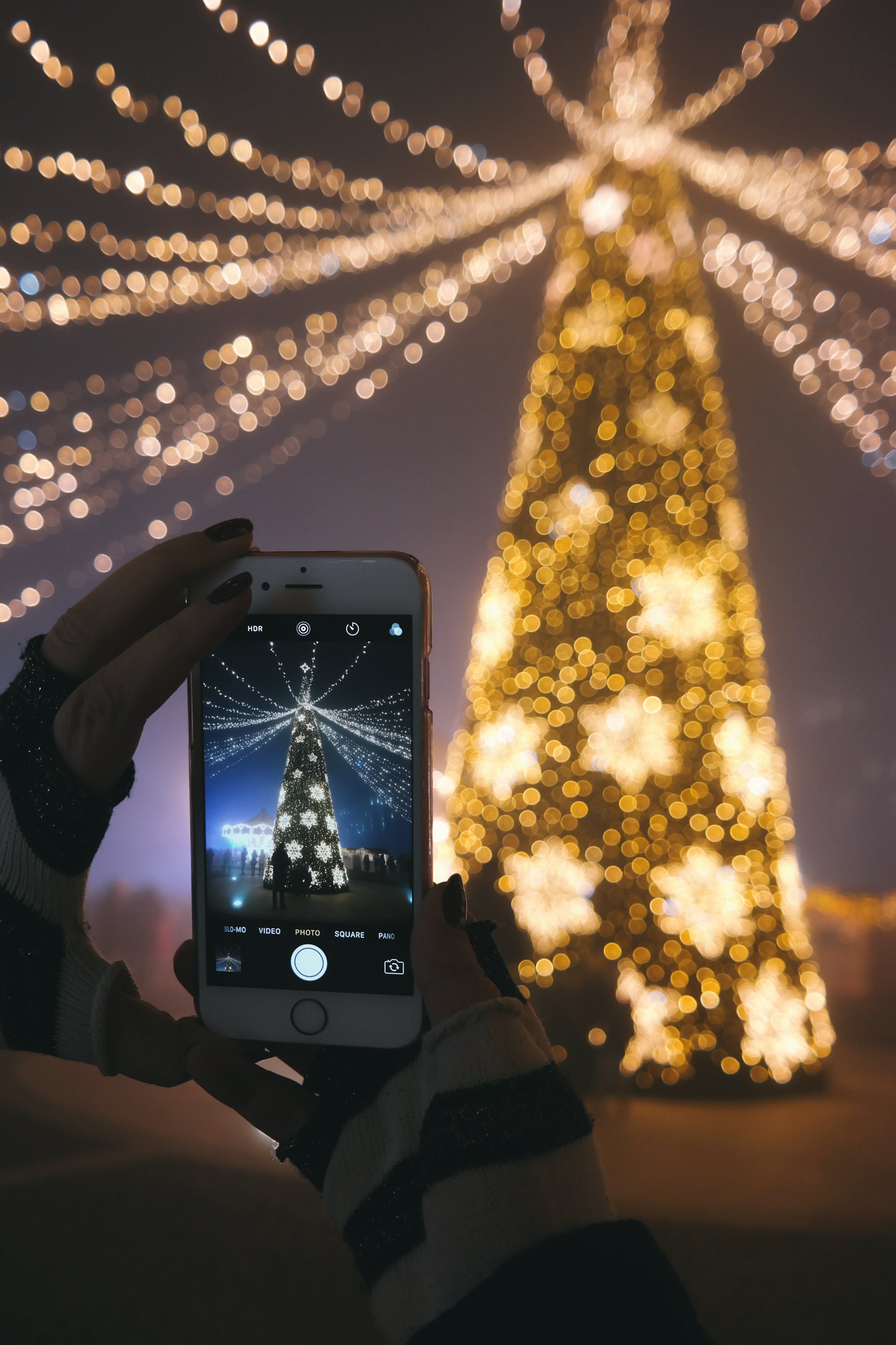 Person Holding Iphone 6 Taking Photo Of Christmas Tree - Christmas Day , HD Wallpaper & Backgrounds