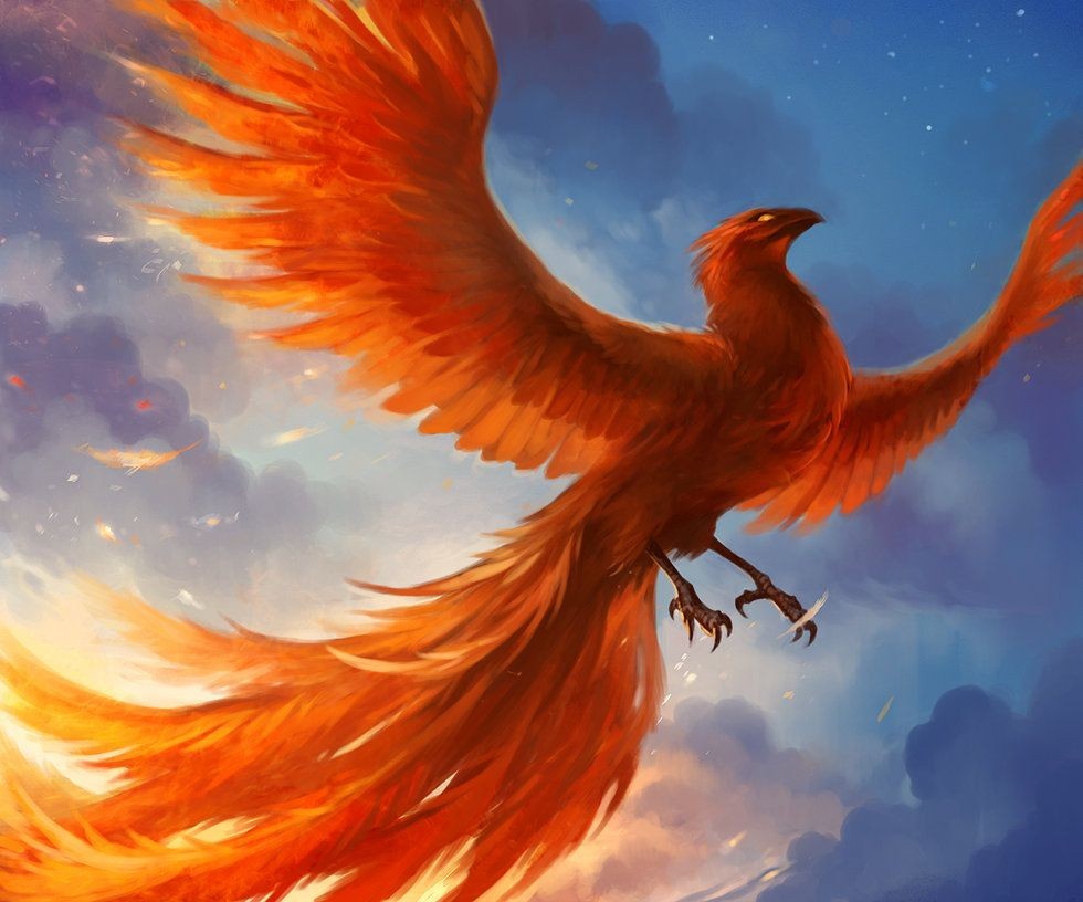 Fenix Bird Wallpapers Elegant Mythical Creatures Greek - Real Life Pokemon Moltres , HD Wallpaper & Backgrounds