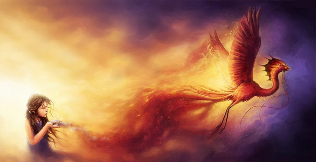 Fondos De Pantalla 4k Hd Del Ave Fenix Fotosdelanaturaleza Phoenix Bird (1382242) HD Fondos De Pantalla 4k Hd Del Ave Fenix Fotosdelanaturaleza Phoenix Bird (1382242) HD