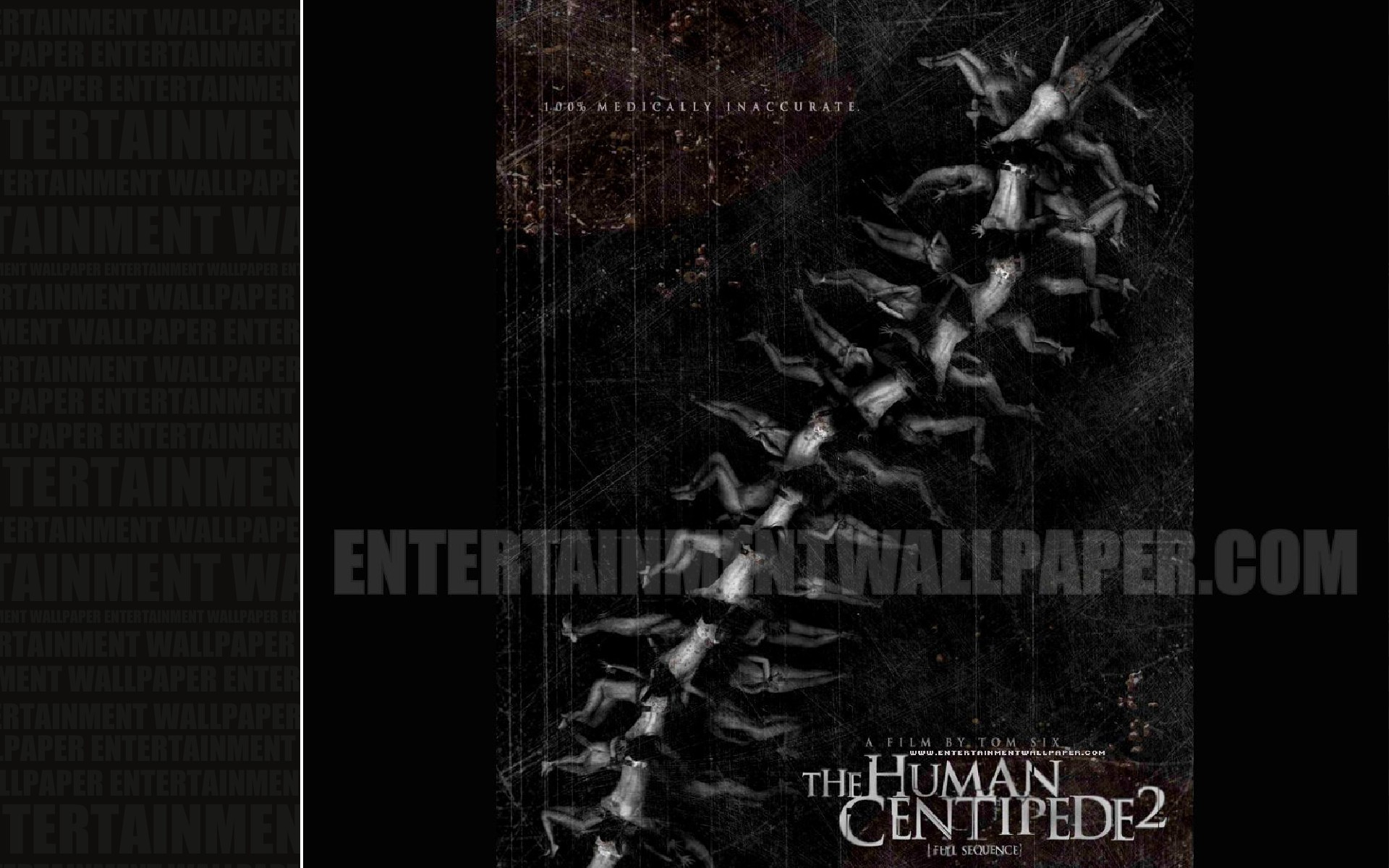 The Human Centipede Ii Wallpaper - Human Centipede Ii (full Sequence) , HD Wallpaper & Backgrounds