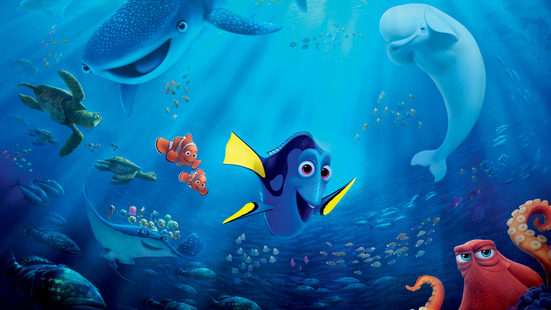 Finding Nemo Hd Wallpaper - Finding Dory 2016 , HD Wallpaper & Backgrounds
