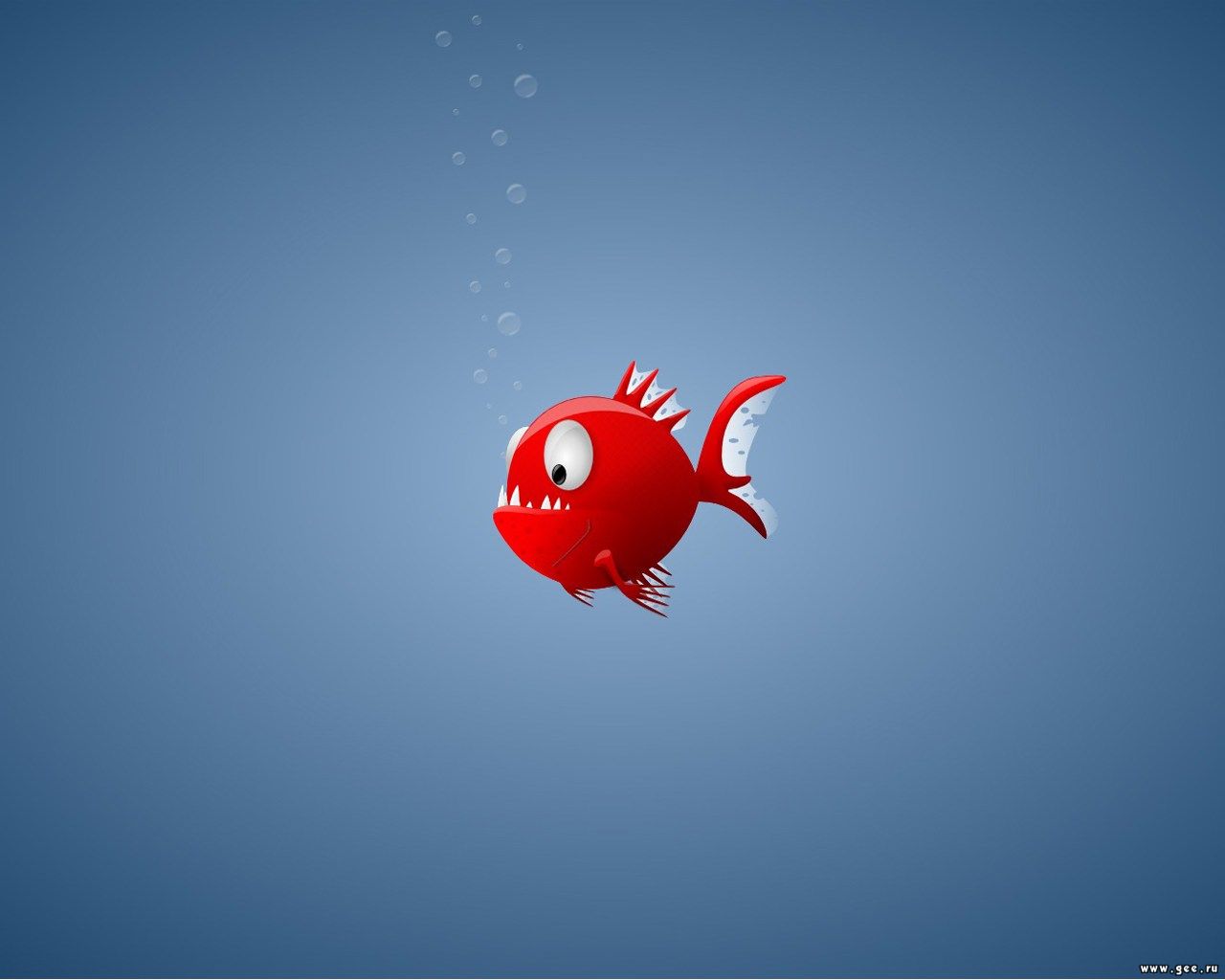 Awesome Fish 2016 Wallpapers, 4289583 - Animated Fish , HD Wallpaper & Backgrounds