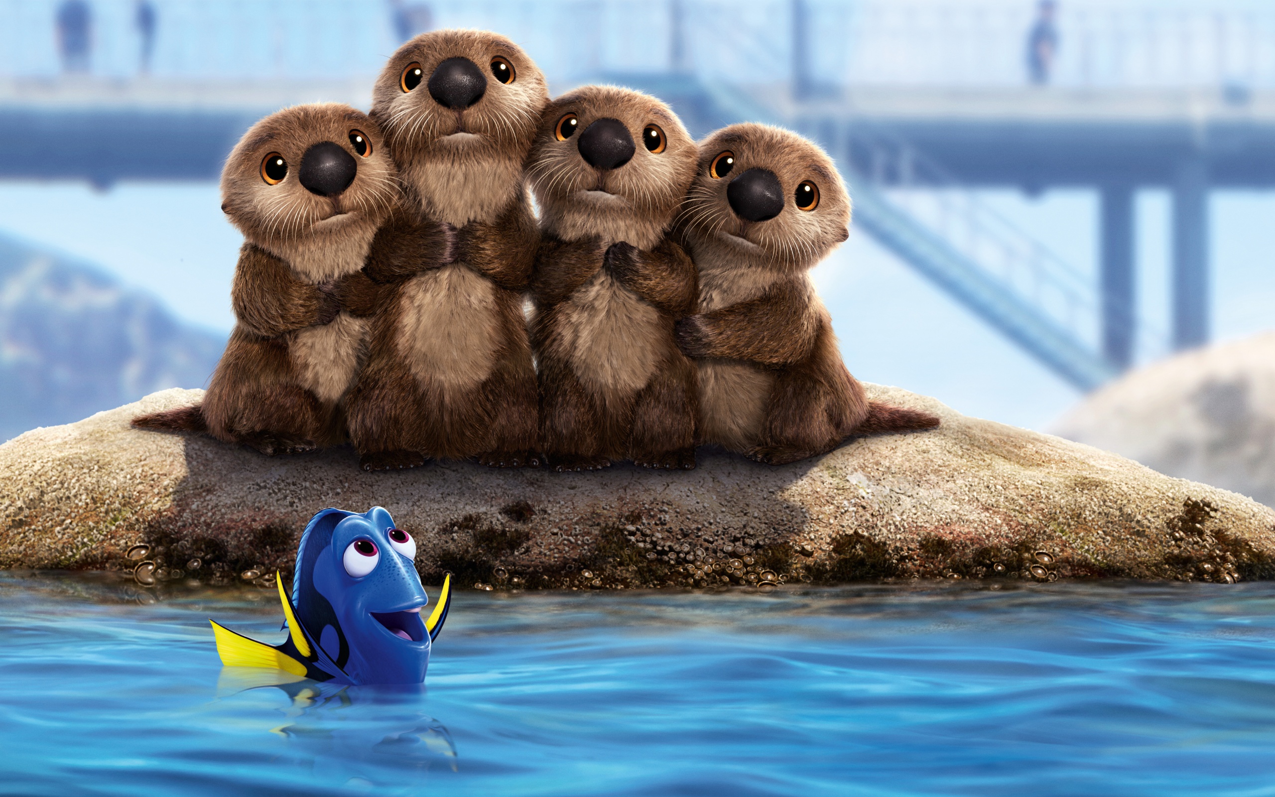 2560 1600 - Sea Lion Finding Dory , HD Wallpaper & Backgrounds