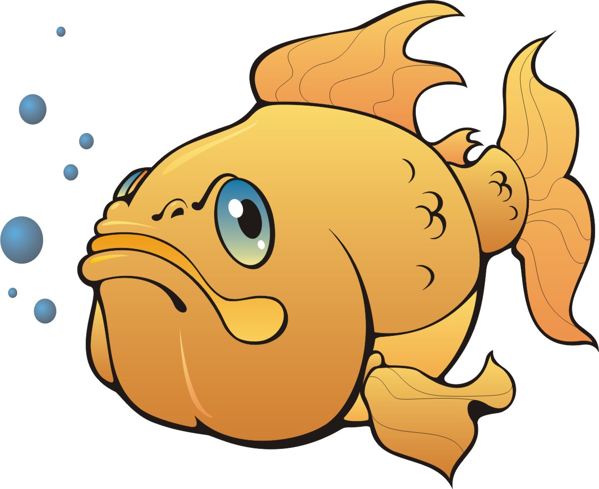 Animated Fish Wallpaper - Cartoon Animated Fish , HD Wallpaper & Backgrounds