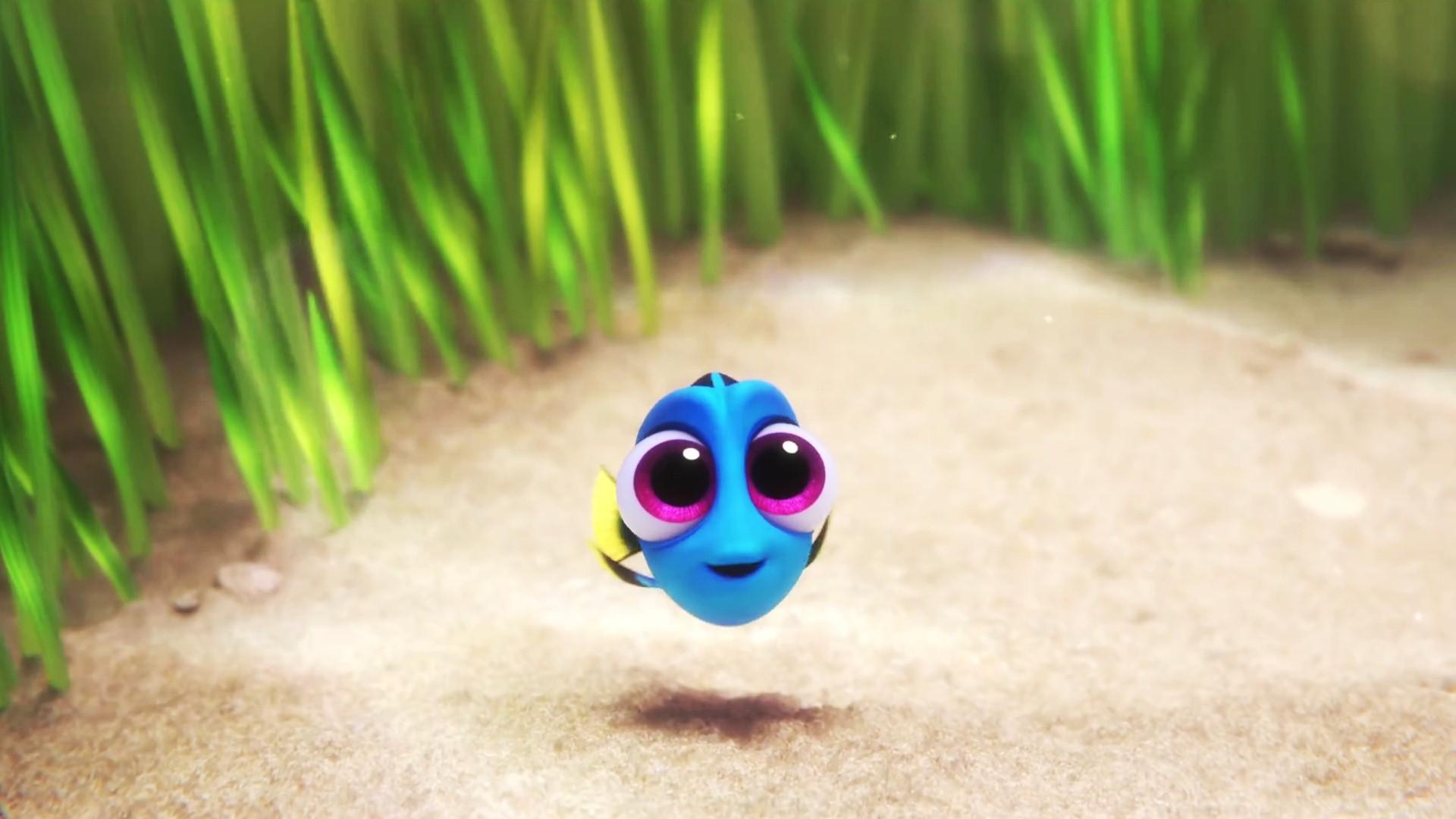 Finding Dory Baby , HD Wallpaper & Backgrounds