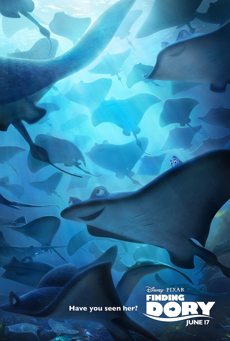 Finding Dory Wallpaper - Mr Ray Finding Dory Trans , HD Wallpaper & Backgrounds