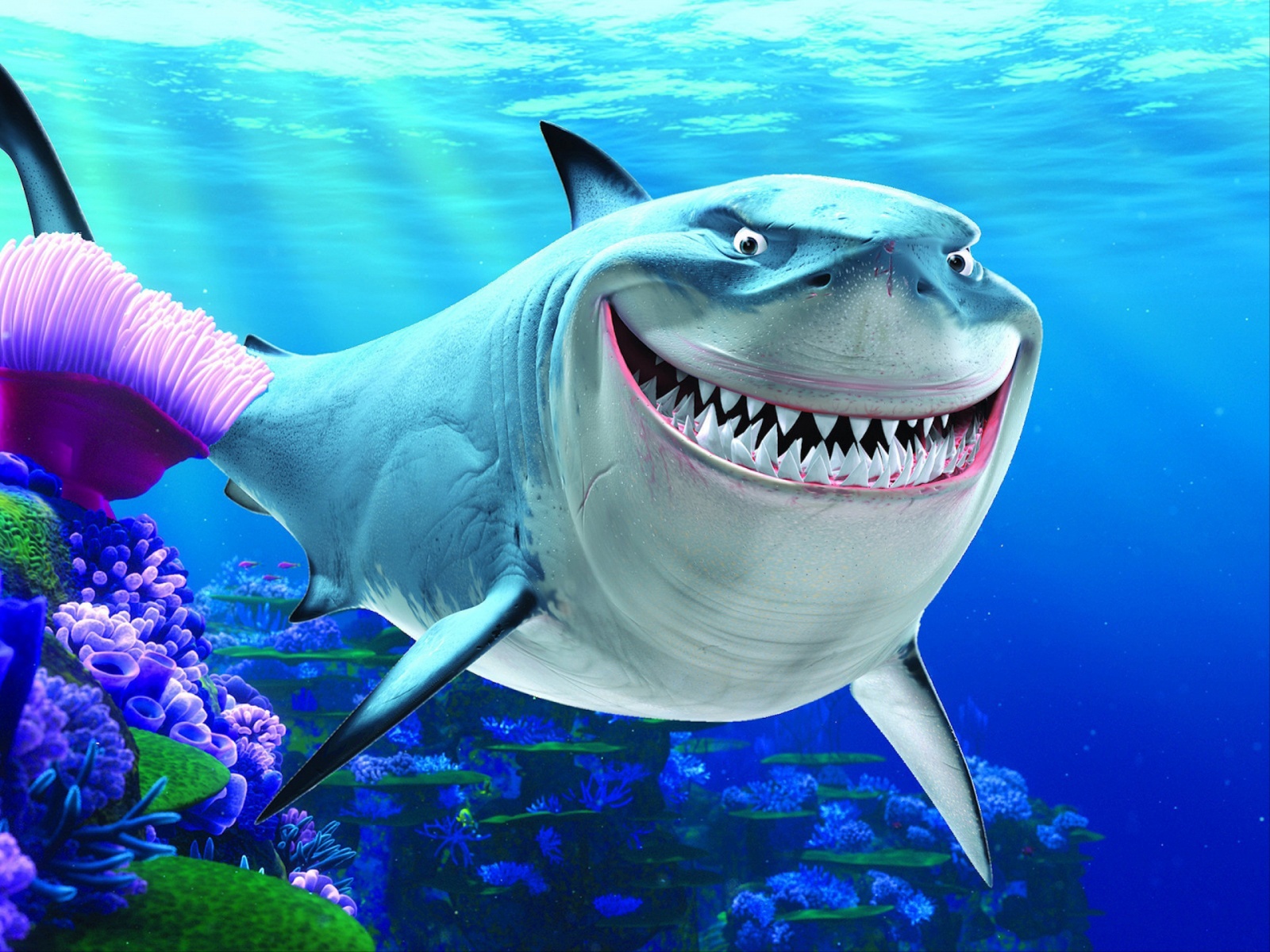 Finding Nemo Shark - Finding Nemo Bruce , HD Wallpaper & Backgrounds