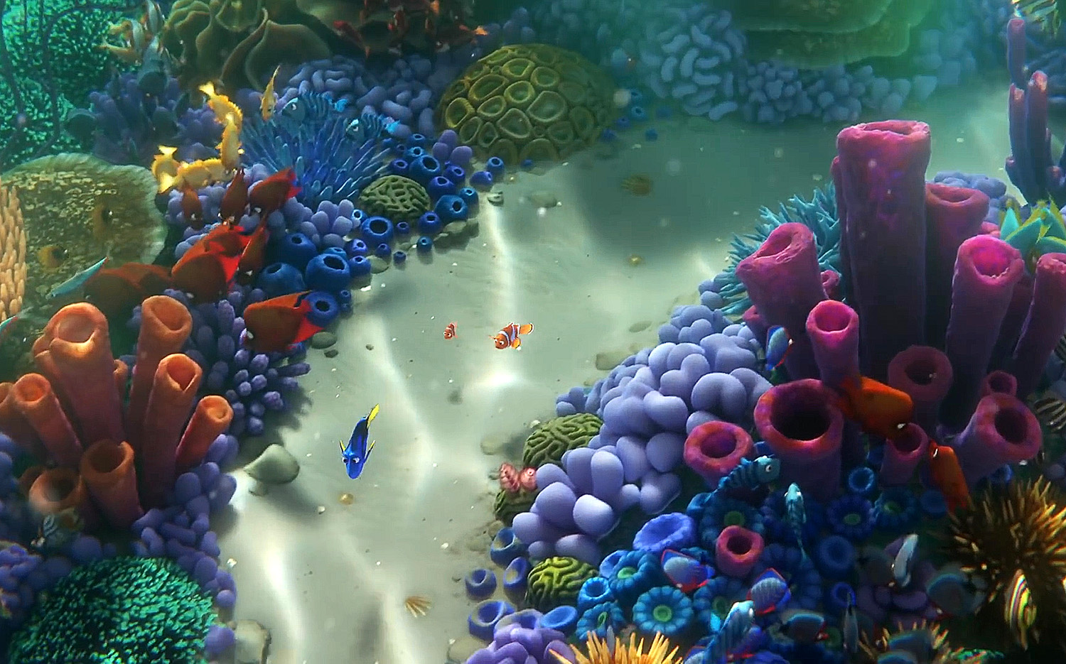 Best Movie Pixar Finding Dory Wallpaper - Finding Dory Great Barrier Reef , HD Wallpaper & Backgrounds