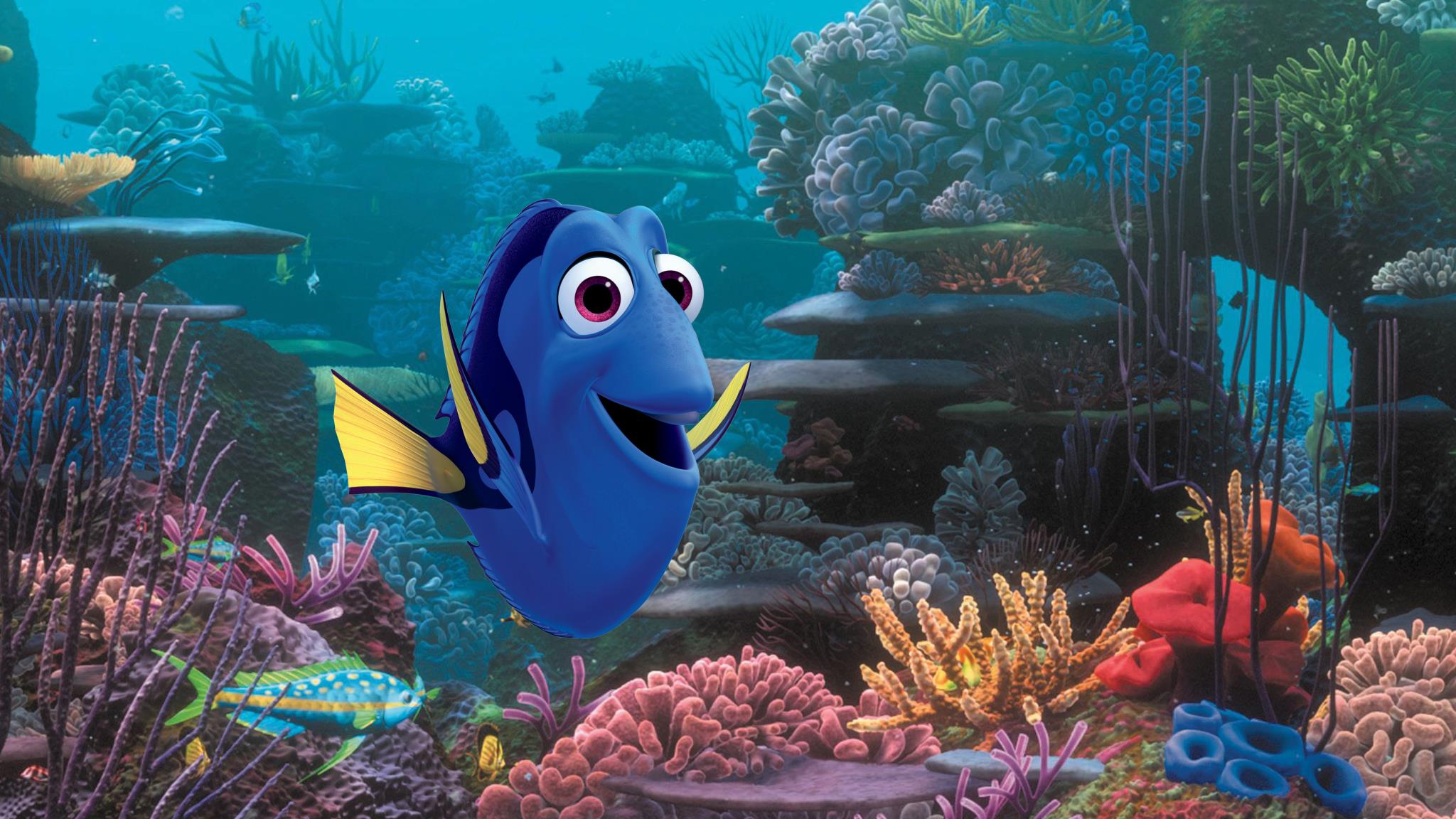 Just Keep Swimming Just Keep Swimming - Finding Dory Aquarium , HD Wallpaper & Backgrounds