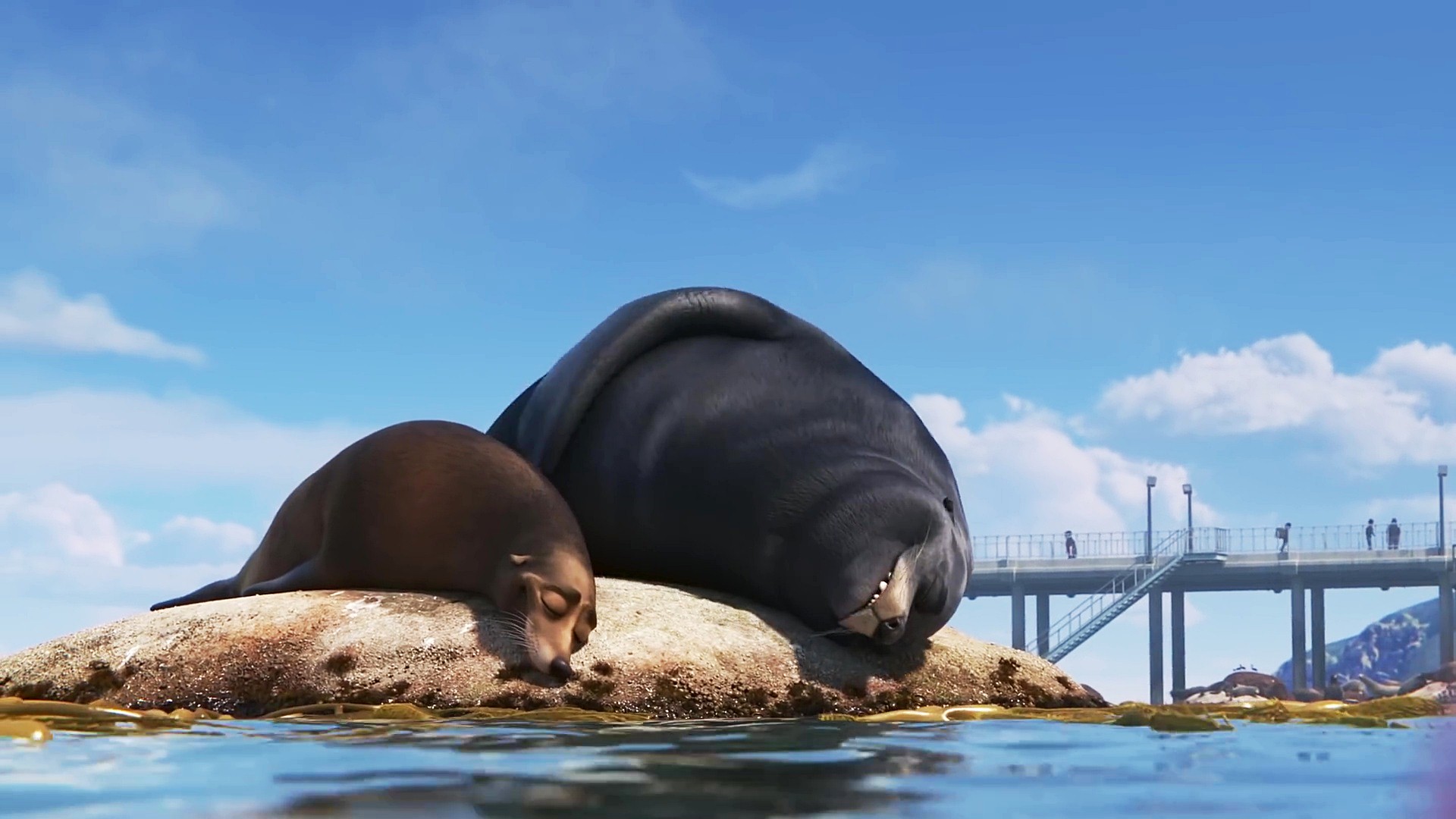 Finding Dory Seals Wallpaper - Sea Lion Gif Funny , HD Wallpaper & Backgrounds