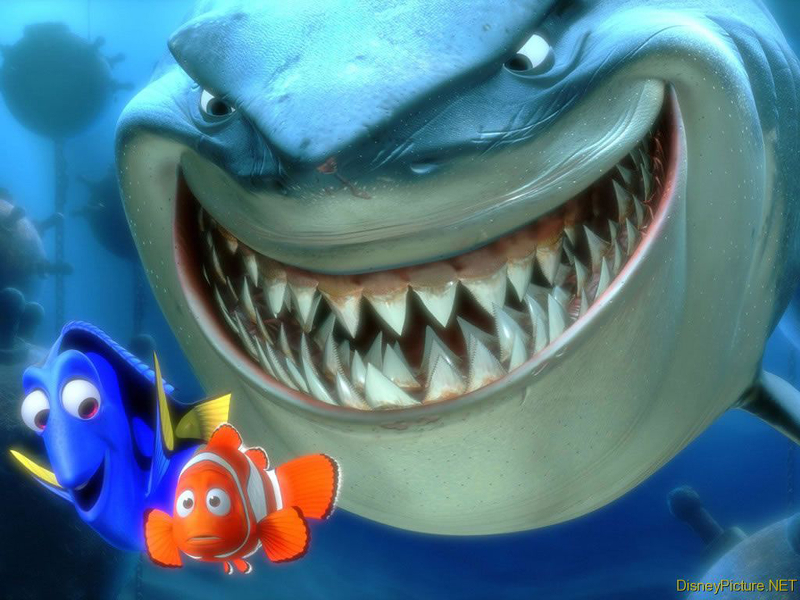 Finding Nemo 3d Movie Poster Hd Wallpapers - Extreme Close Up Shot Finding Nemo , HD Wallpaper & Backgrounds