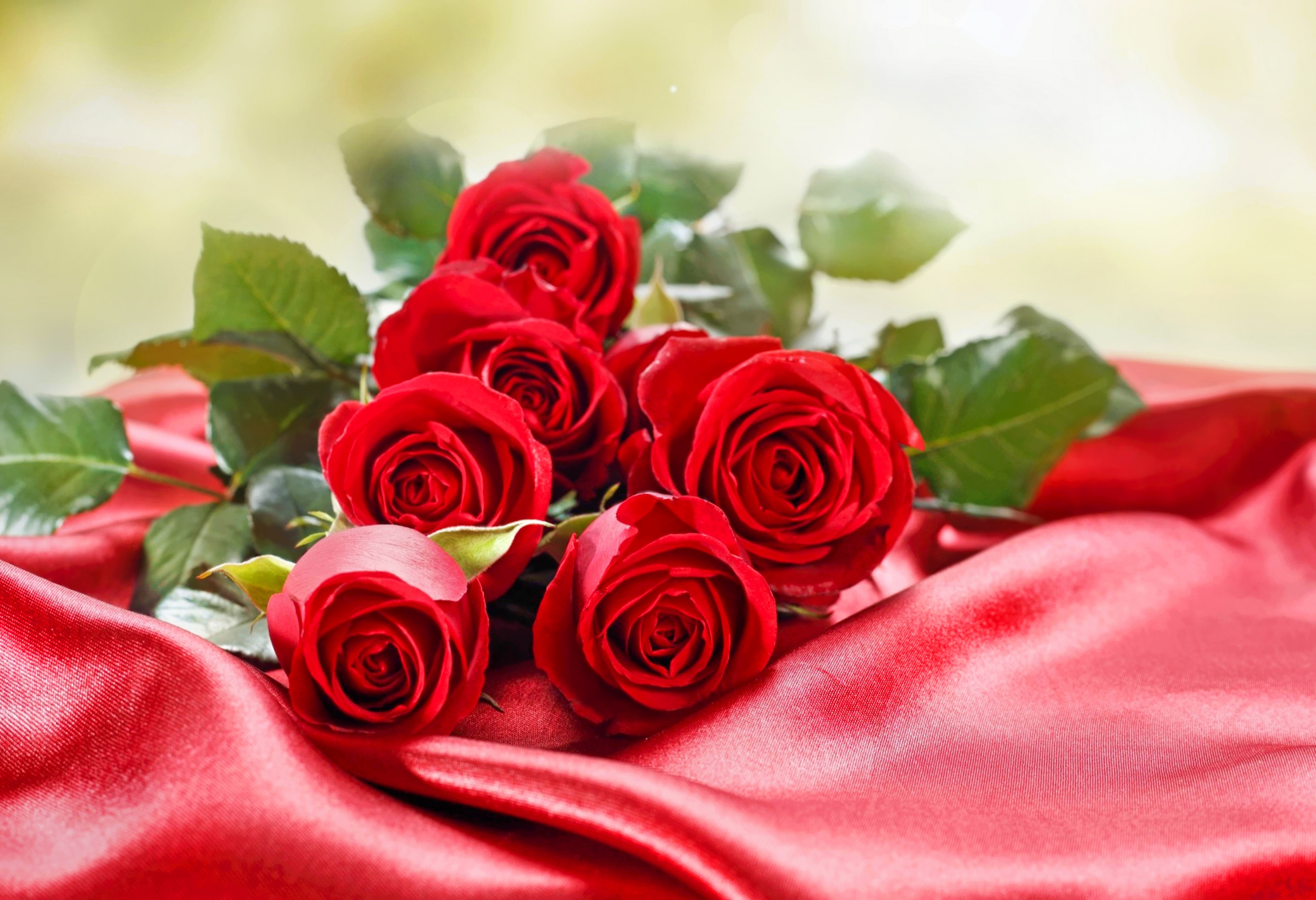 Red Roses, Bouquet, Leaves, Silk - Beautiful Pic Of Roses , HD Wallpaper & Backgrounds
