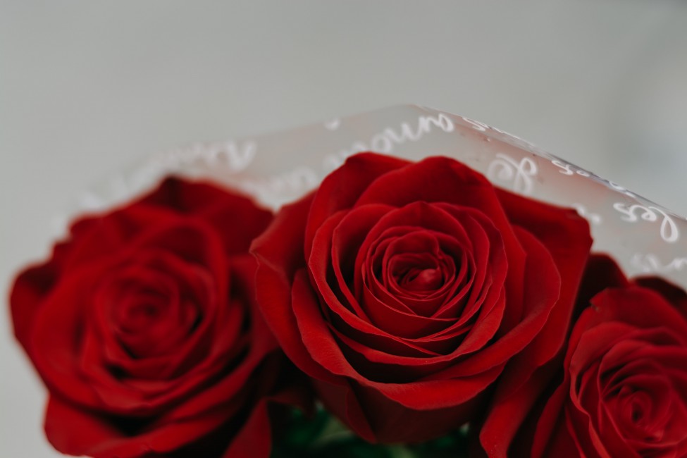 Red Rose Bouquet - Rose (#1384985) - HD Wallpaper & Backgrounds Download