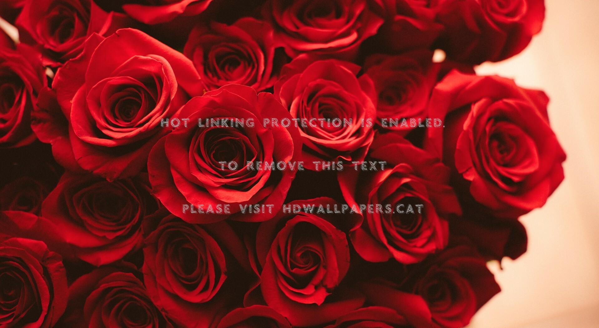 Red Roses Bouquet Petals Flowers Wallpaper - Rose Aesthetic Wallpaper Desktop , HD Wallpaper & Backgrounds