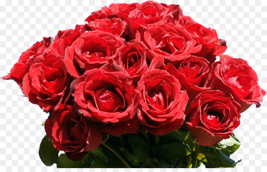 Rose, Flower Bouquet, Desktop Wallpaper, Flower Png - Red Roses , HD Wallpaper & Backgrounds