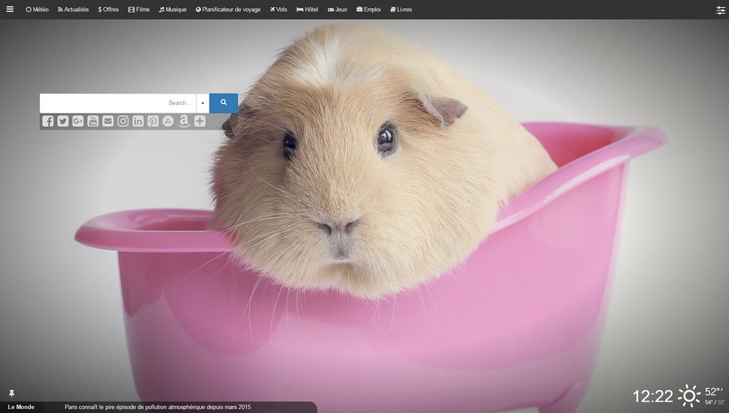 Hamster Wallpaper - Guinea Pig In A Bath , HD Wallpaper & Backgrounds