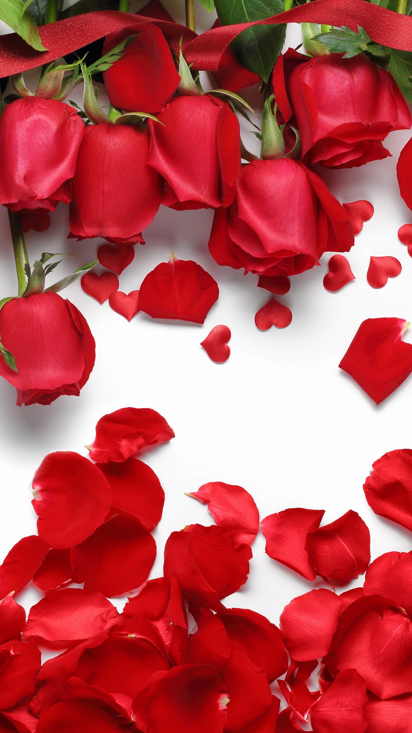 Download Red Rose Wallpaper Geft Hd Gift Bouquet Flower - Rose Wallpaper Iphone 7 , HD Wallpaper & Backgrounds