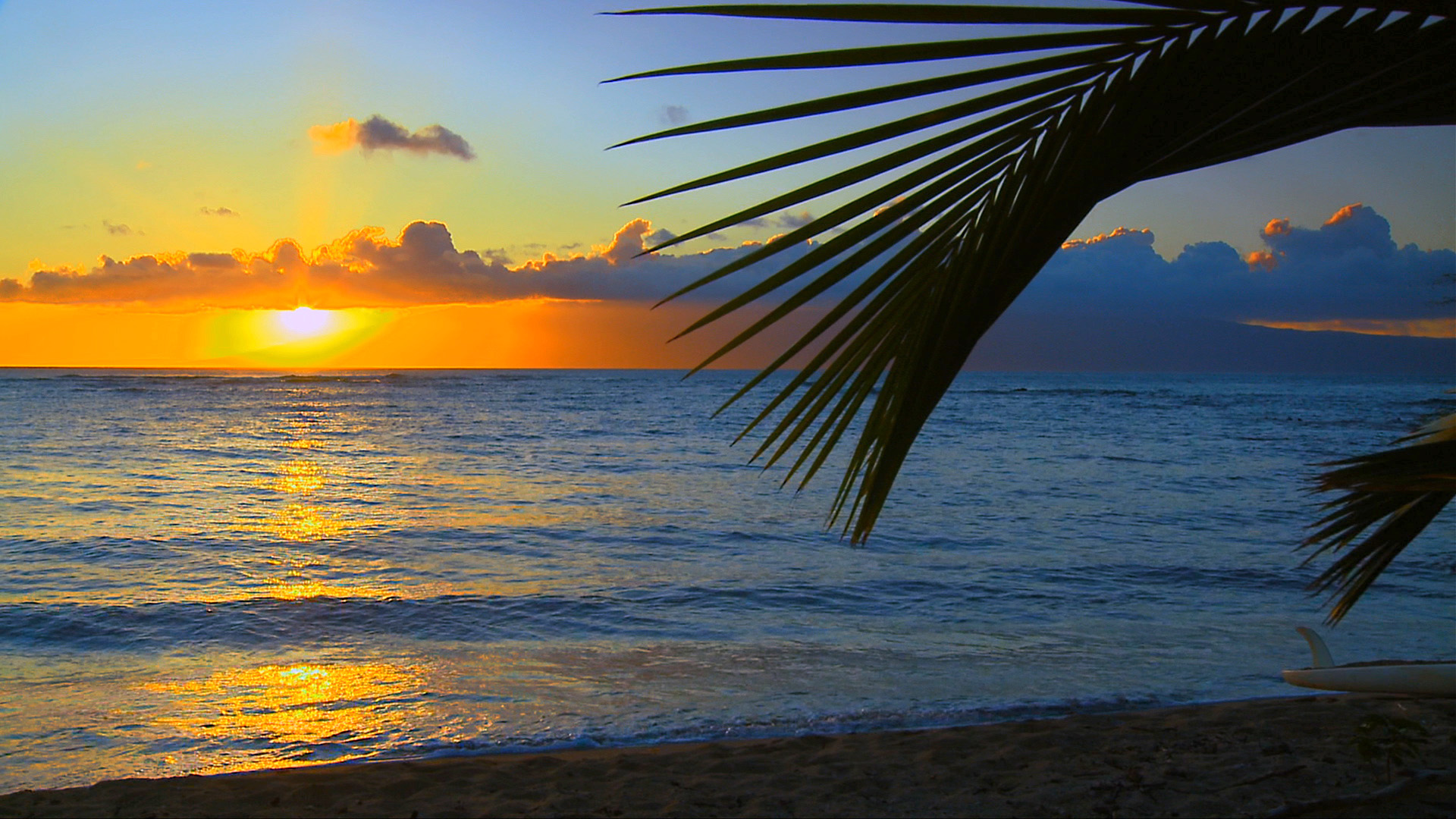 Beautiful Beaches In Hawaii See The Most Beautiful - Fort Lauderdale Beach Hd , HD Wallpaper & Backgrounds