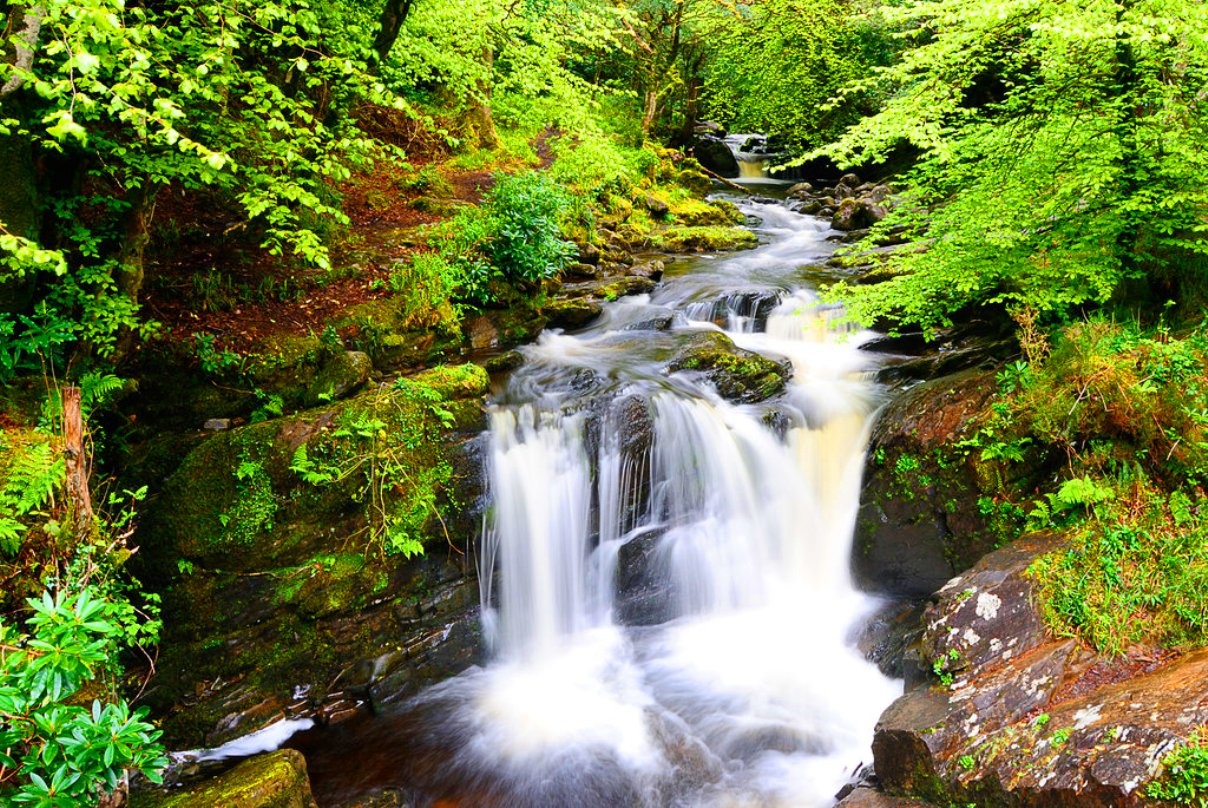 Fall Killarney Waterfall Flow Landscape Forest Nature - Waterfall , HD Wallpaper & Backgrounds