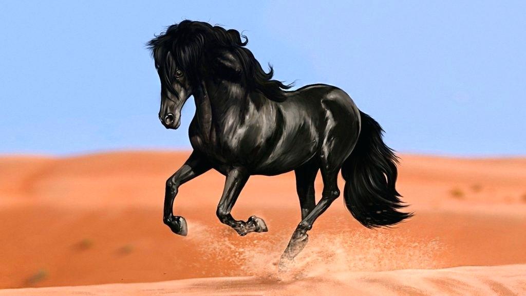 Horse Wallpaper Horse Wallpaper For Desktop Horse Wallpaper - Animals Horses , HD Wallpaper & Backgrounds