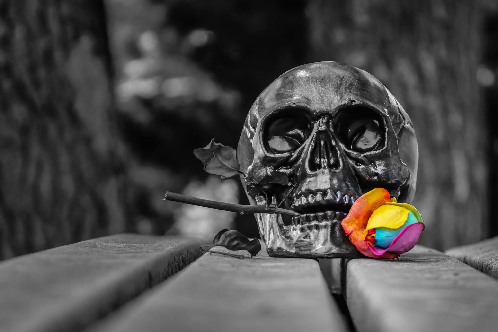 Skull Selective Coloring Death Spooky Gothic Wallpaper - Dinding Tengkorak , HD Wallpaper & Backgrounds