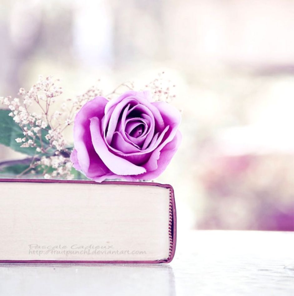 Flowers Book Purple Soft Rose Flower Fullscreen Wallpaper - Geseende Week Quotes , HD Wallpaper & Backgrounds