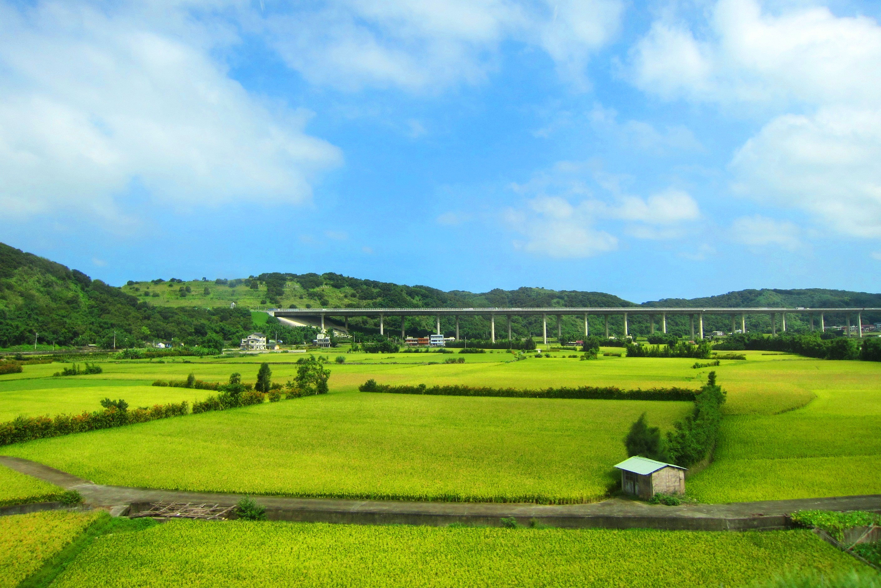 Sky Rural Paddy Fields Scenery Free Desktop Background - Botanical Garden , HD Wallpaper & Backgrounds