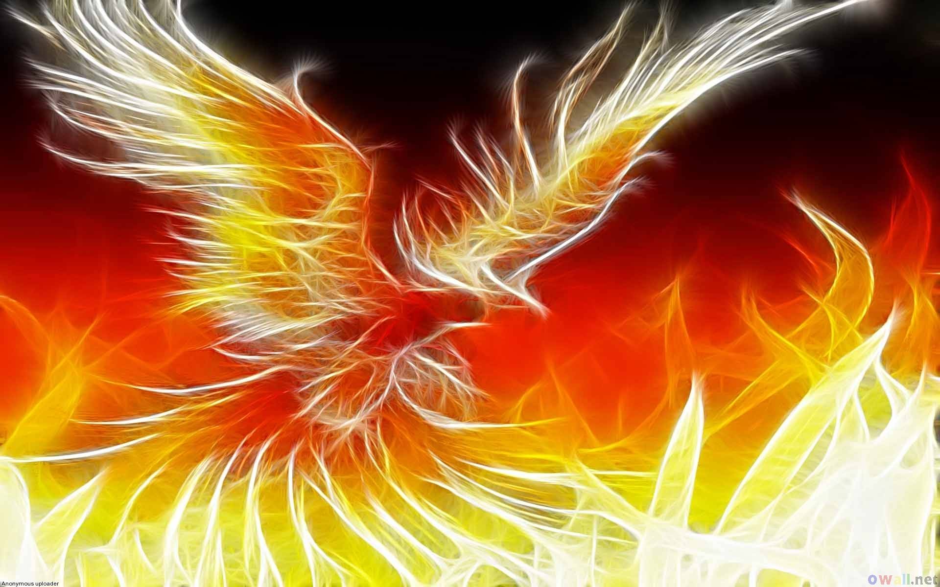 Phoenix - Phoenix Greek Mythical Creatures , HD Wallpaper & Backgrounds