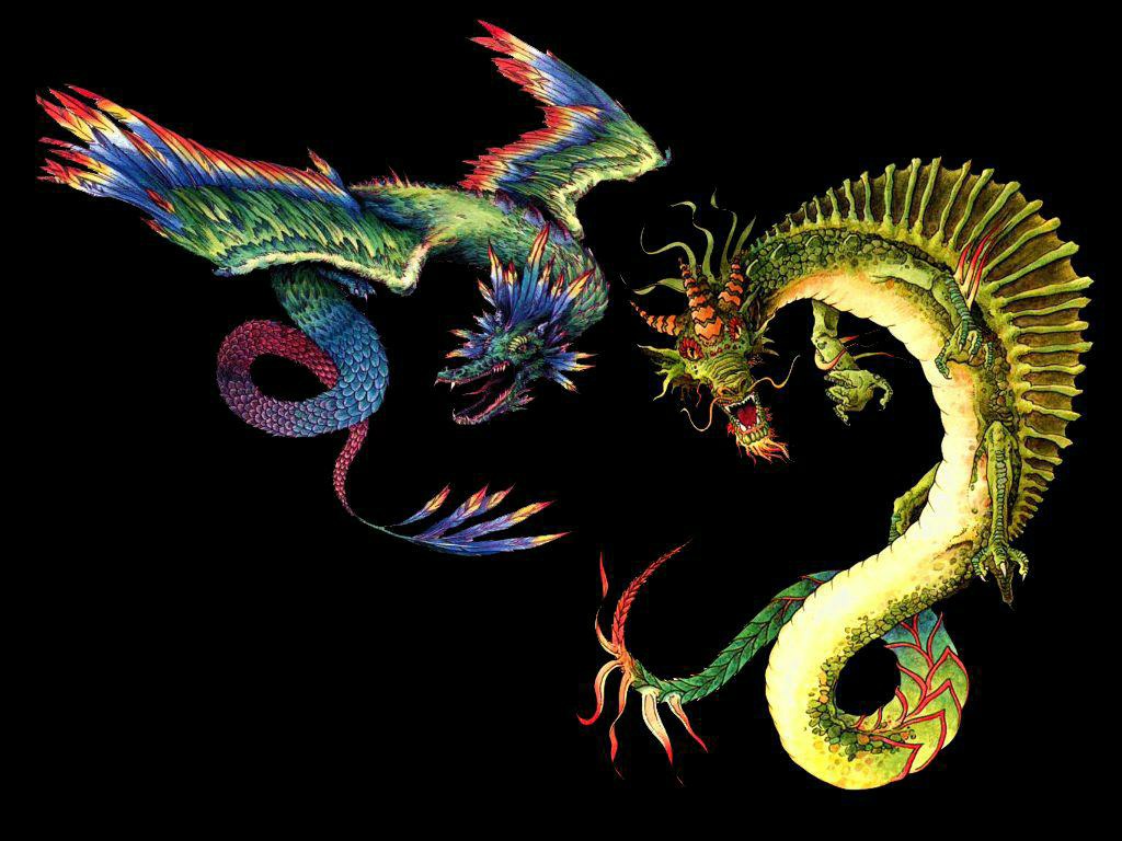 Amphiptere And Dragon - Amphiptere Dragon , HD Wallpaper & Backgrounds