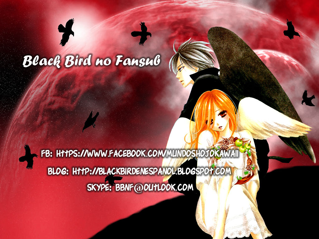 Black Bird Manga , HD Wallpaper & Backgrounds