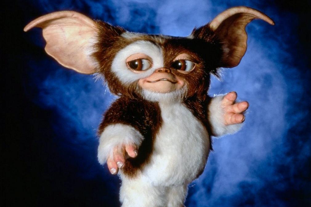 Gizmo Wallpaper - Gremlins Movie , HD Wallpaper & Backgrounds