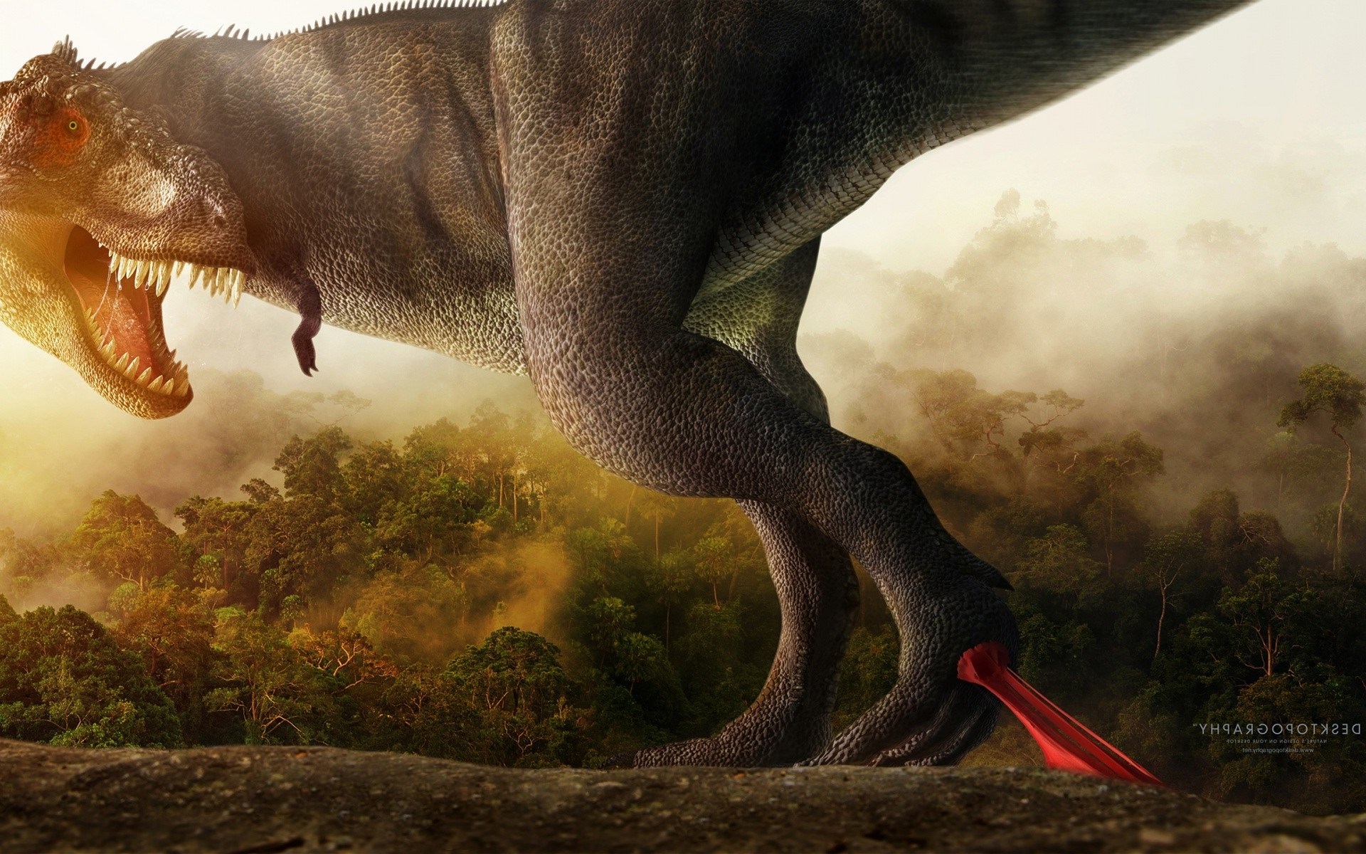 Creative Hd Background - Dinosaur Wallpaper Chromebook , HD Wallpaper & Backgrounds